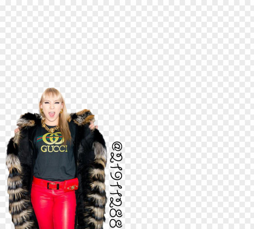 Cl 2NE1 Fur Clothing K-pop YG Entertainment PNG