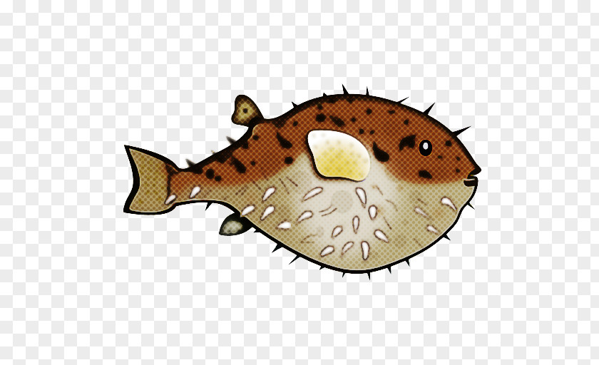 Fish Porcupine Fishes Clip Art PNG