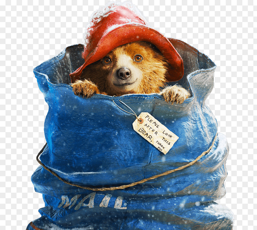 Lovely Bear Paddington Aunt Lucy Film Animation PNG