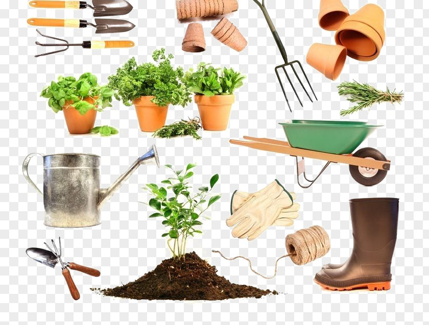 Tools Species Of Plants Needed Gardening Container Garden Tool Gardener PNG