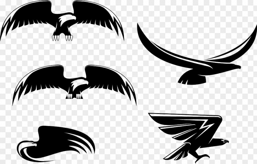 Vector Eagle Stock Photography Royalty-free Clip Art PNG
