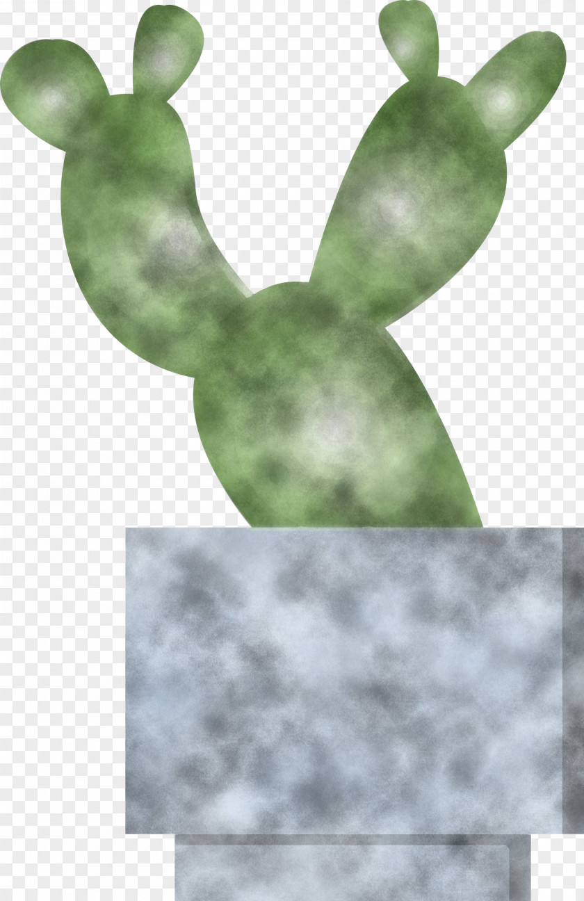 Cactus PNG