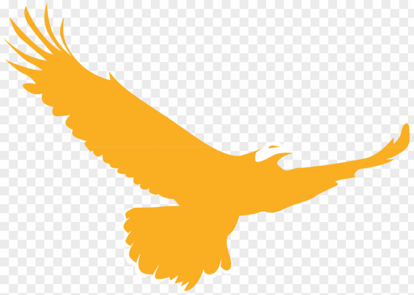 Eagle Golden Logo Bird PNG