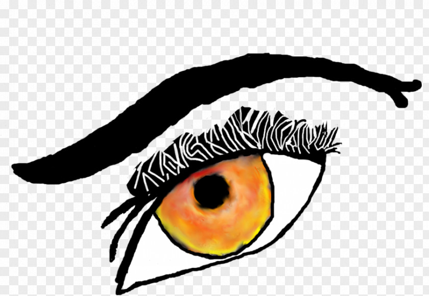 Eye Beak Line Clip Art PNG