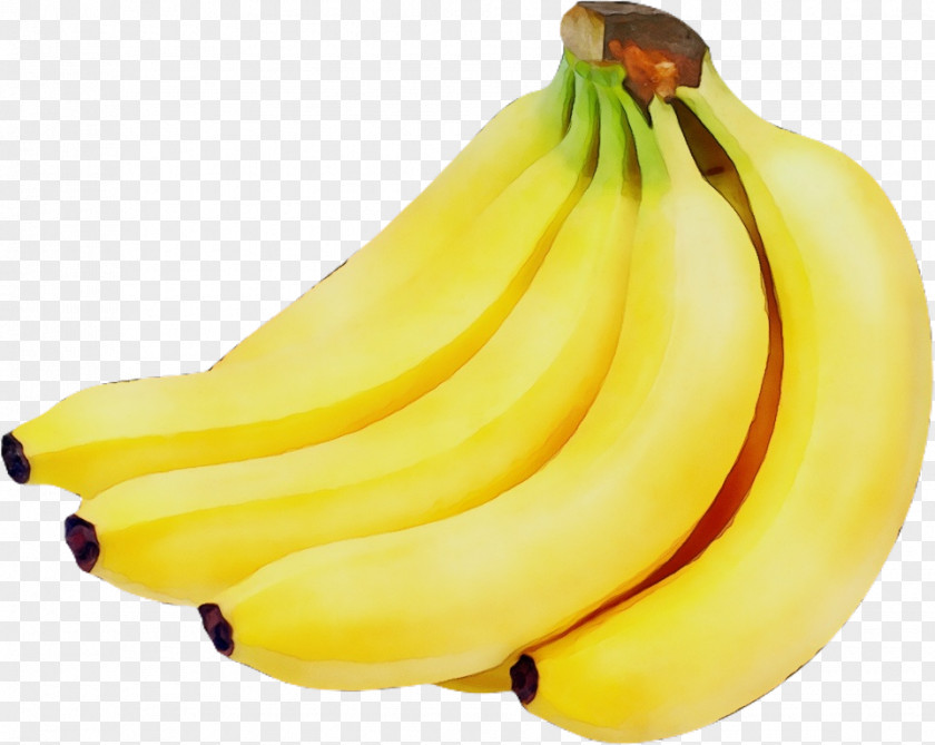 Food Natural Foods Banana Family Saba Fruit Yellow PNG