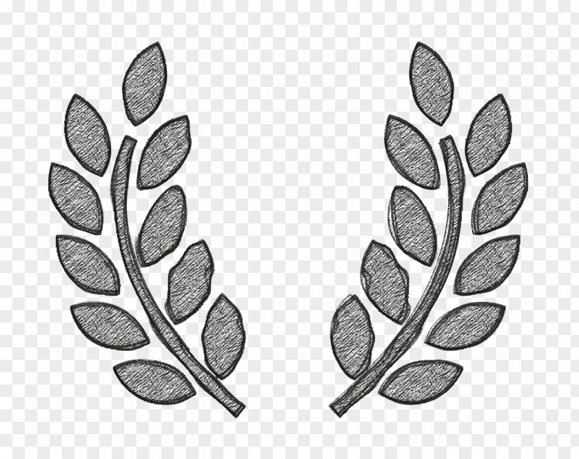 Olive Branches Award Symbol Icon Awards PNG