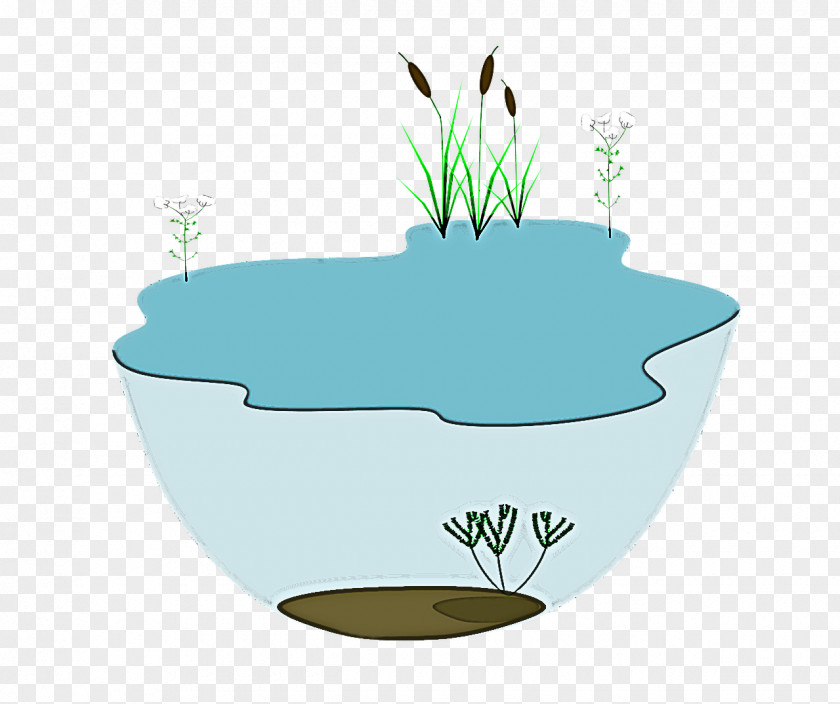 Water Grass Flowerpot Plant Rock PNG