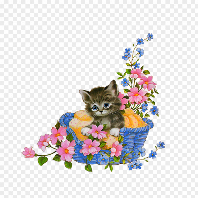Cat In The Basket Happiness Afternoon Day Night PNG
