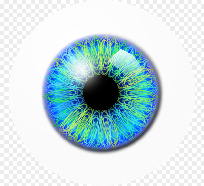 Eye Pupil Clip Art PNG