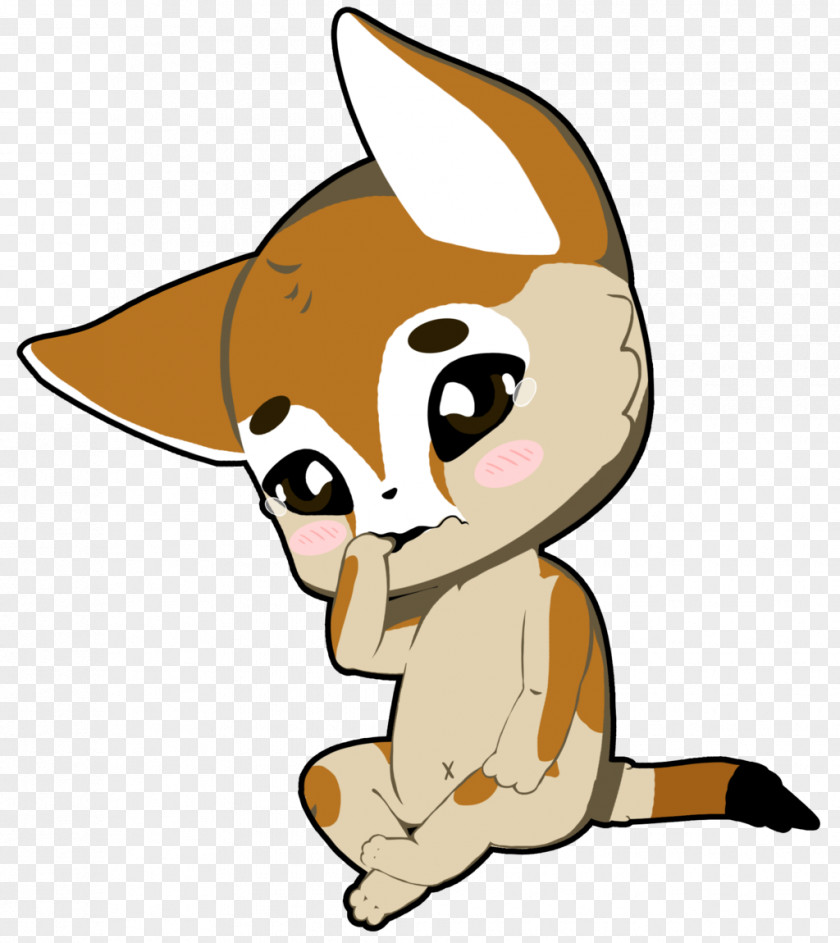 Fennec Fox Cat Dog Vertebrate Mammal Pet PNG