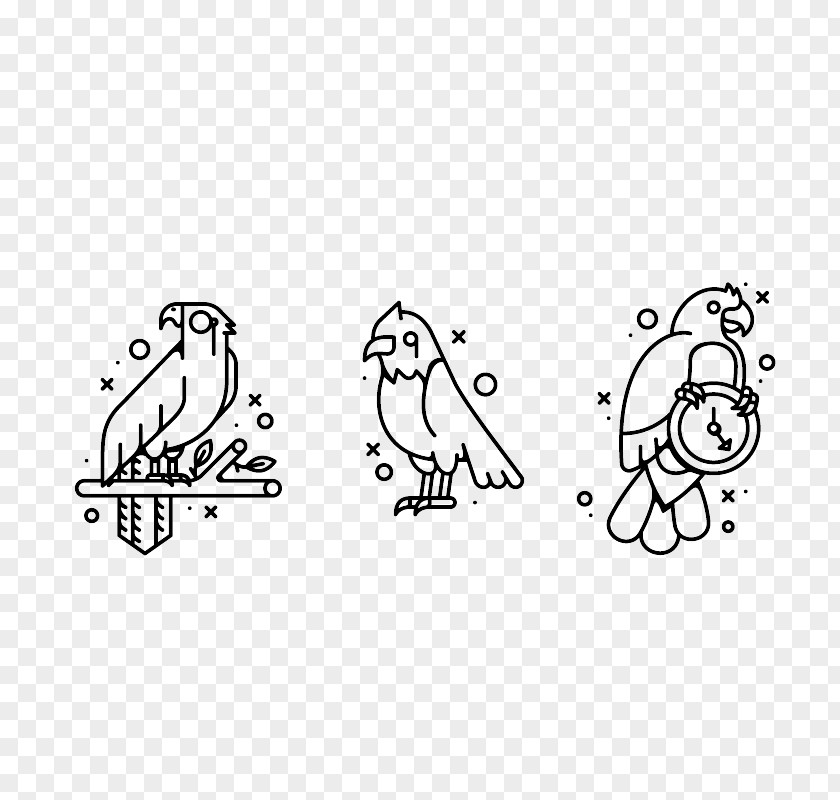 Flat And Parrot Design Download PNG