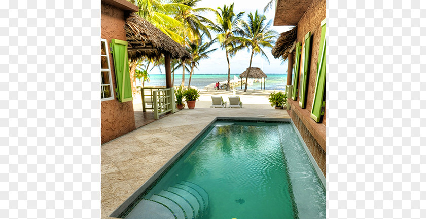 Hotel Swimming Pool Caye Casa Beach Resort PNG