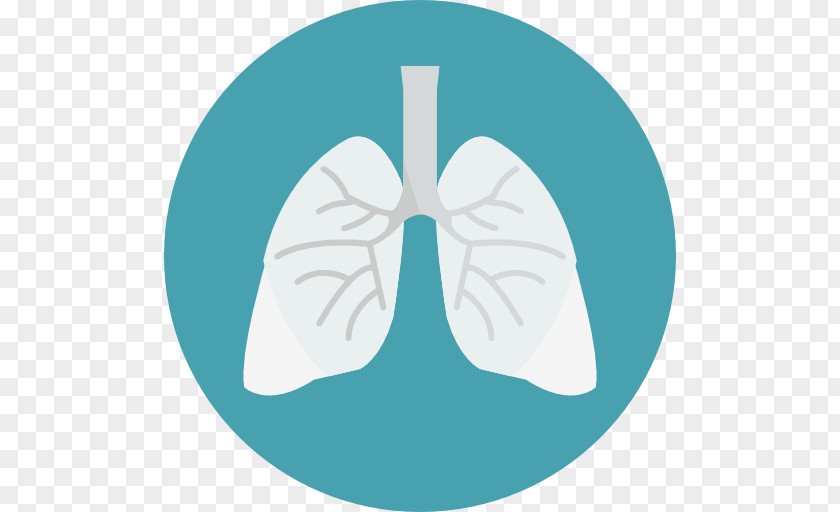 Lung Vector PNG