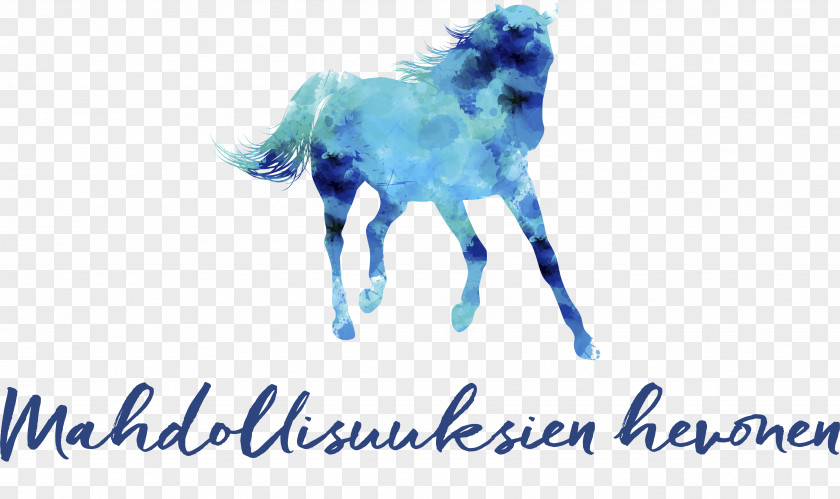Mustang Finnish Horse Suomi Finland 100 Pony Stallion PNG