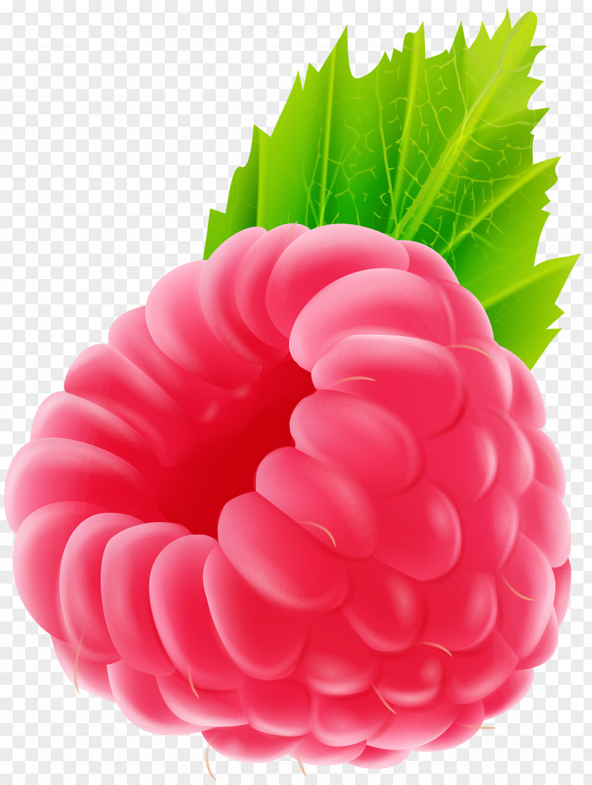 Rasberry Raspberry Fruit Clip Art PNG