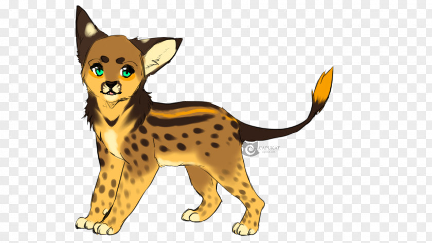 Cheetah Whiskers Cat Dog Breed Red Fox PNG