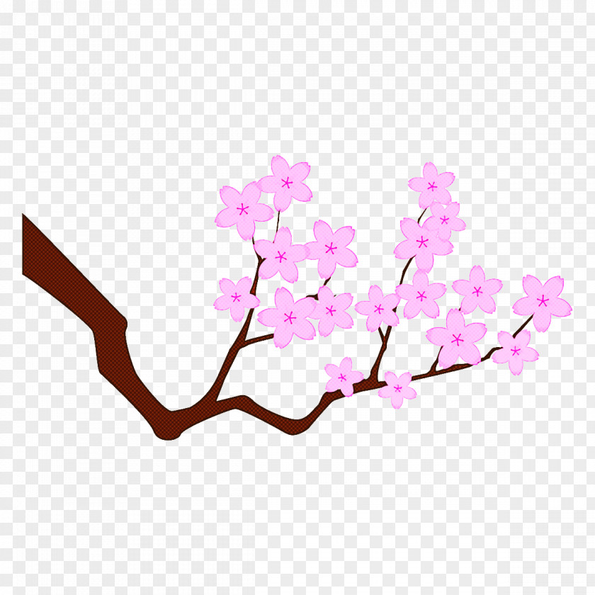 Cut Flowers Twig Cherry Blossom PNG