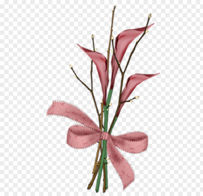 Design Floral Cut Flowers Plant Stem Pink M PNG