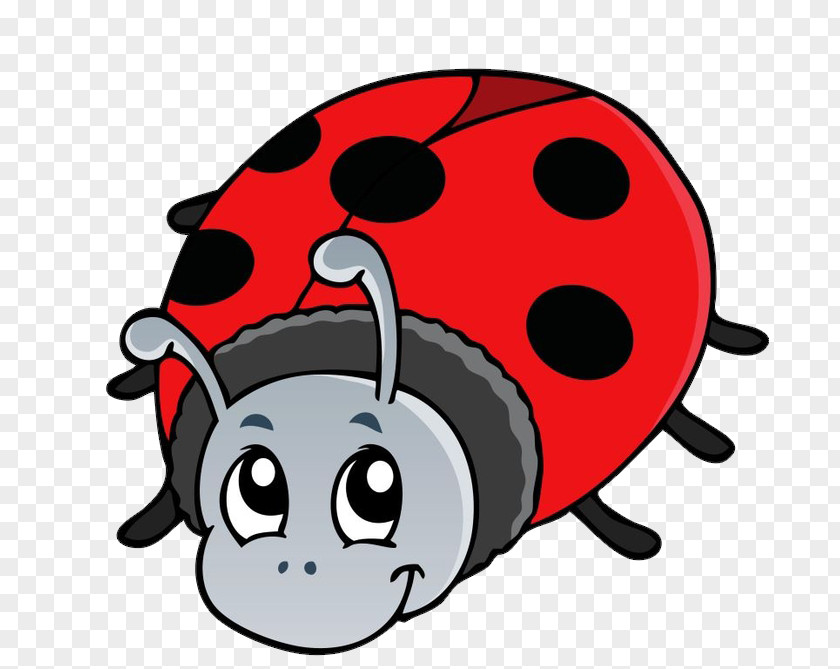 Insect Drawing Cartoon PNG