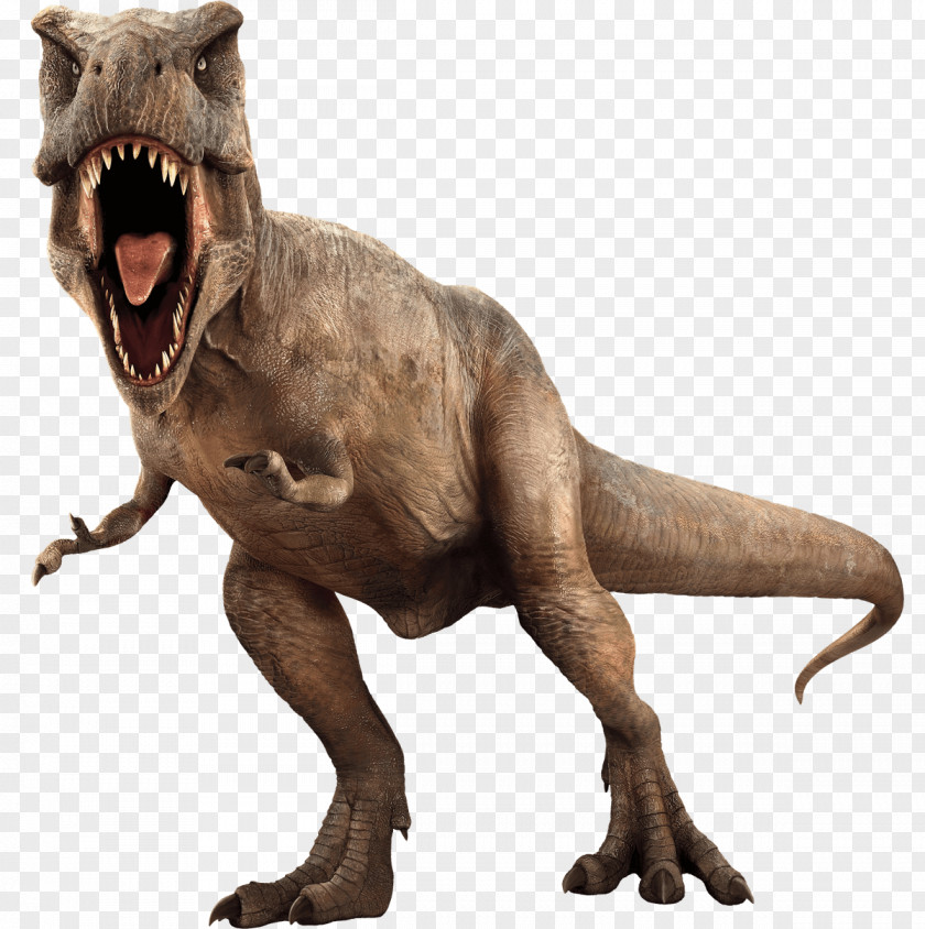 Jurassic Park Picture World Evolution Velociraptor Fathead, LLC Tyrannosaurus Rex Mosasaurus PNG