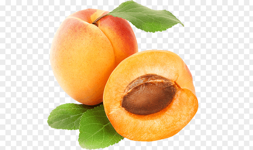 Apricot Fruit Clip Art PNG