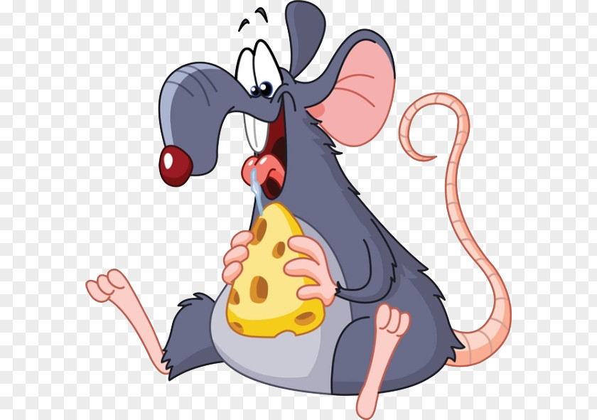 Cheese-eating Rat Mouse Eating Clip Art PNG