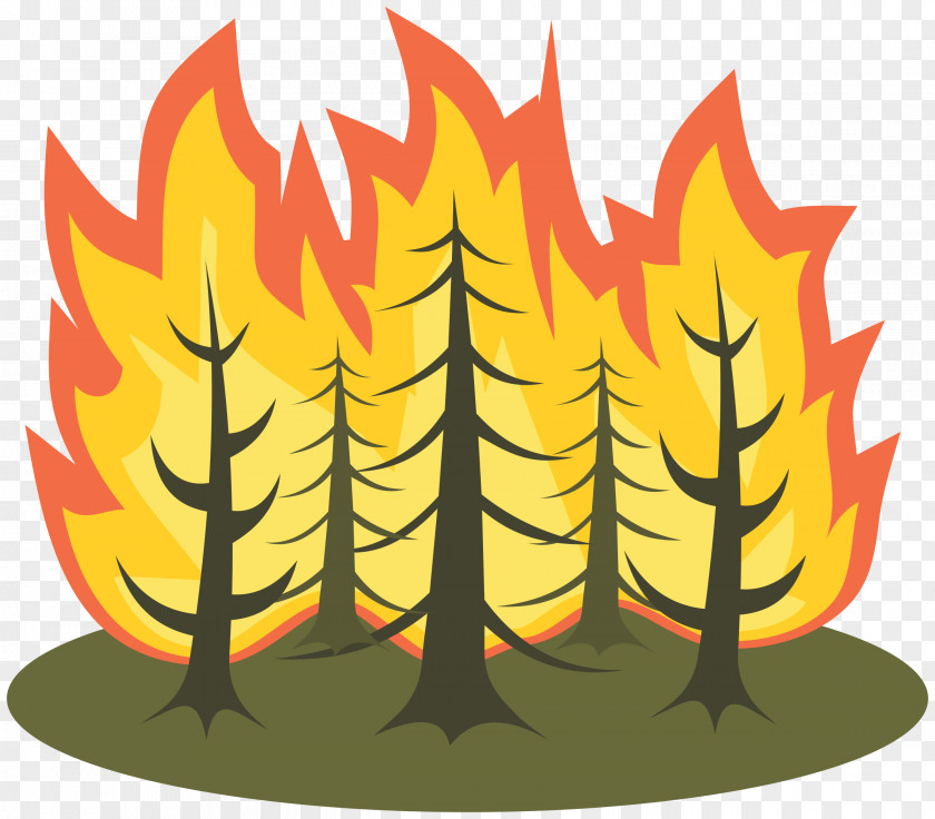 Fire Wildfire Clip Art PNG