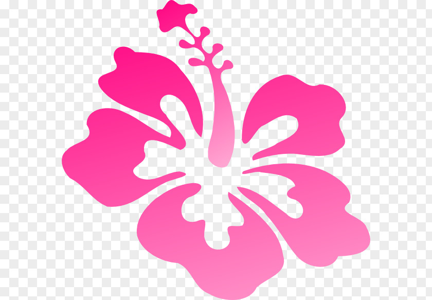 Hibiscus Hawaiian Drawing Clip Art PNG