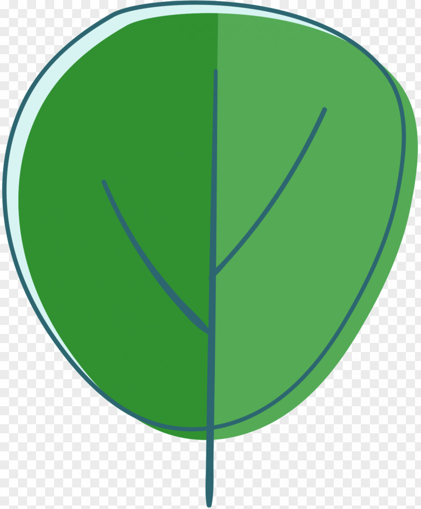 Leaf Plant Stem Angle Font Tree PNG