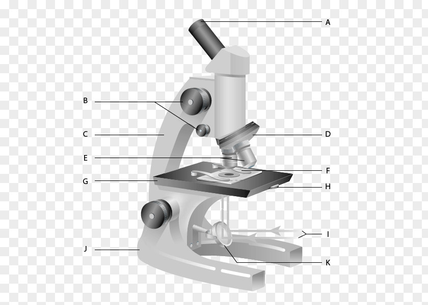 Microscope Carl Zeiss Microscopy Optical Worksheet Diagram PNG