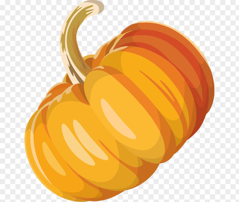 Pumpkin Vector Material Calabaza Winter Squash PNG