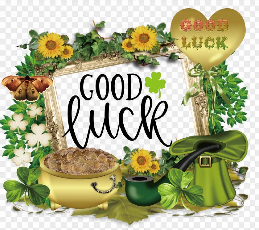 Saint Patrick Patricks Day Good Luck PNG