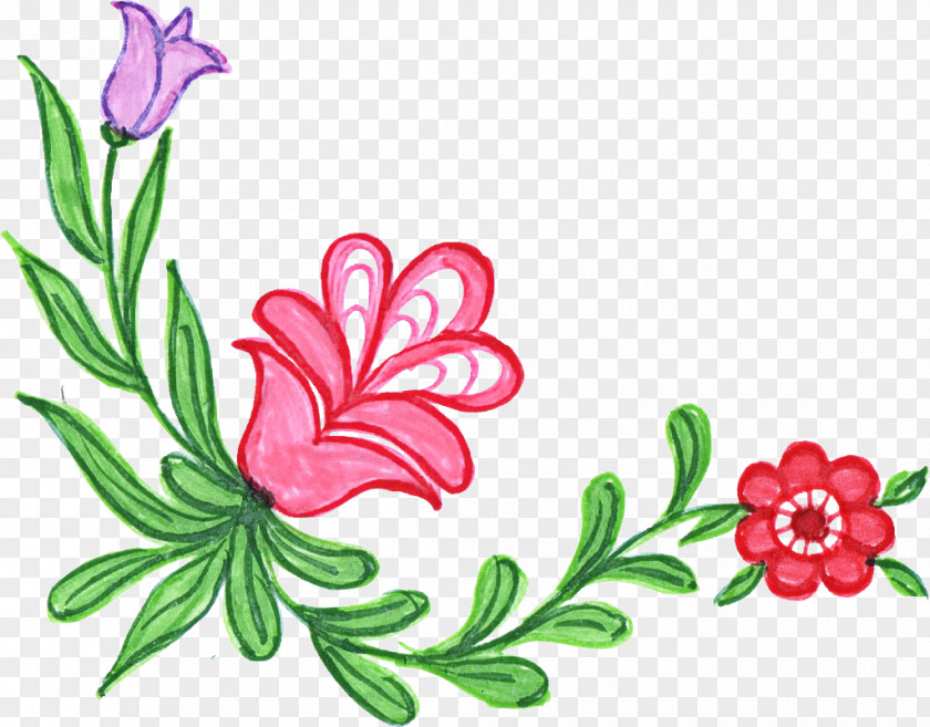 Wildflower Plant Stem Flowers Background PNG