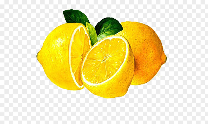 Yellow Lemon Food Clementine Mandarin Orange Lime PNG