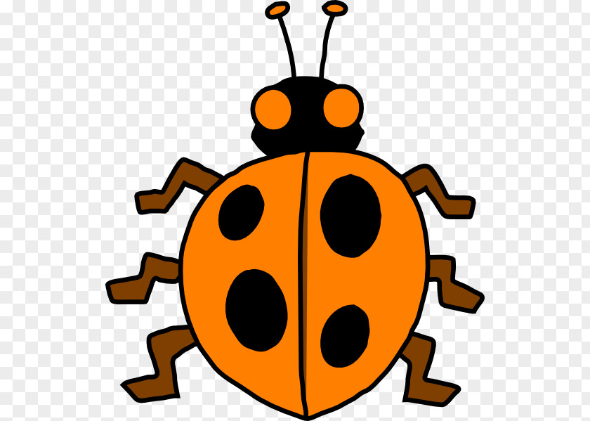 Beetle Ladybird Honey Bee Cartoon Clip Art PNG