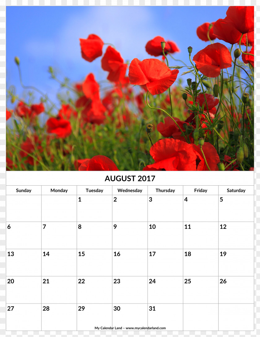 Flower Rattan Calendar Template Poppy Nature 0 1 PNG