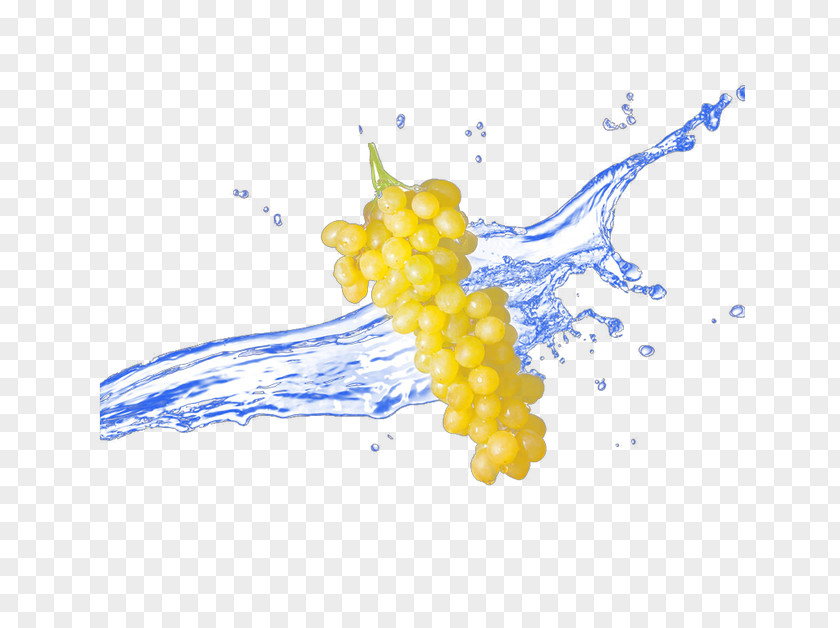 Fruit In Water Coffee Grape Food Cafe PNG