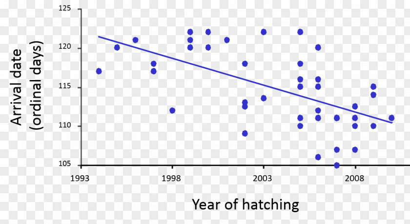 Hatching Pattern Graph Of A Function Black-tailed Godwit Plot Bird Migration PNG