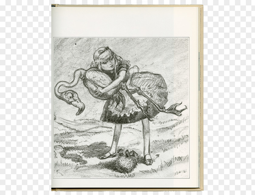 Painting Alice's Adventures In Wonderland Drawing Sketch PNG