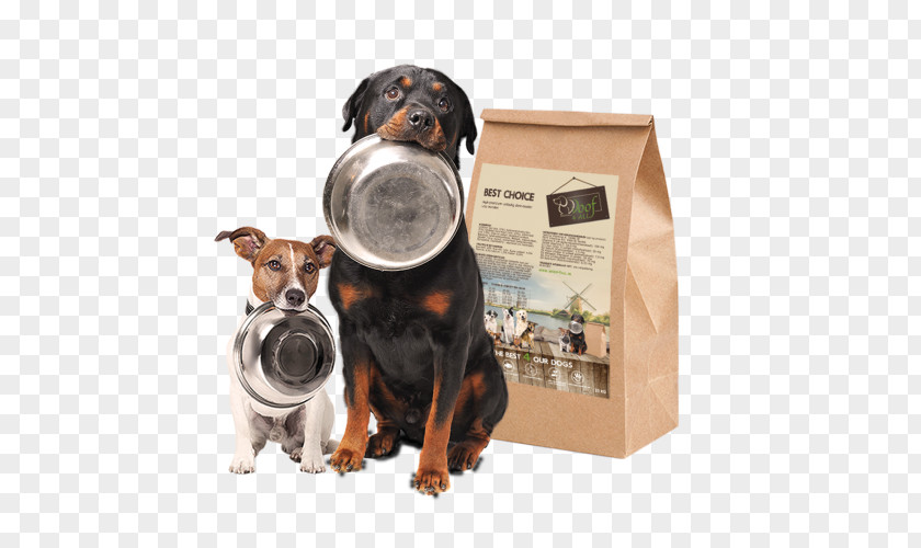 Puppy Dog Breed Food Cat PNG