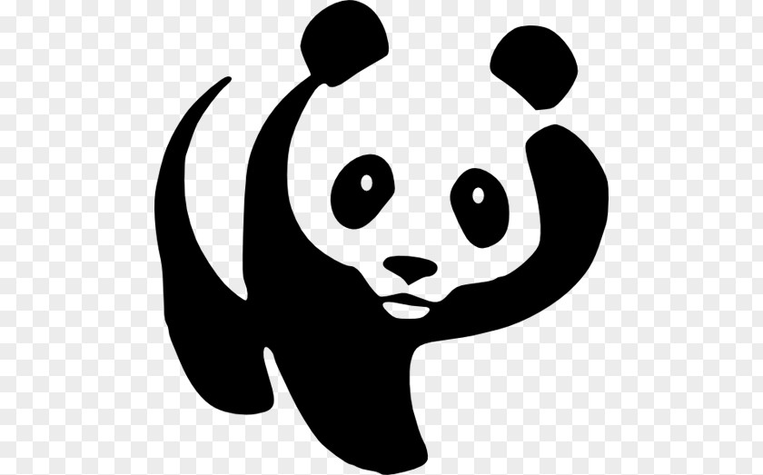 Bear Giant Panda Drawing Cartoon Clip Art PNG