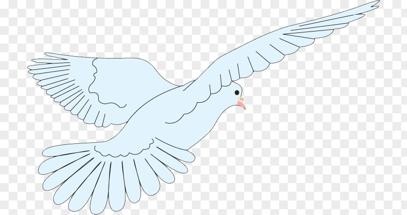 Eagle Flying Beak Paper Bird Goose Duck PNG