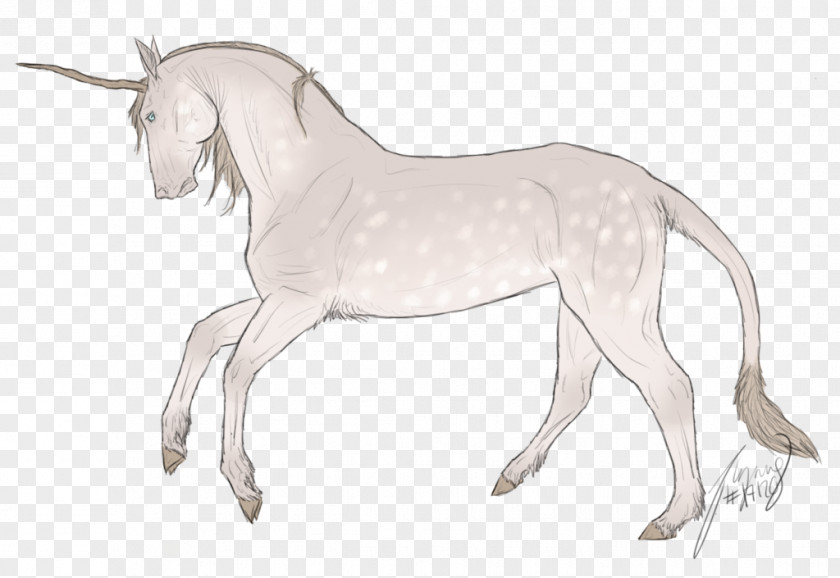 Pull The Bottom Mane Mustang Foal Donkey Pony PNG