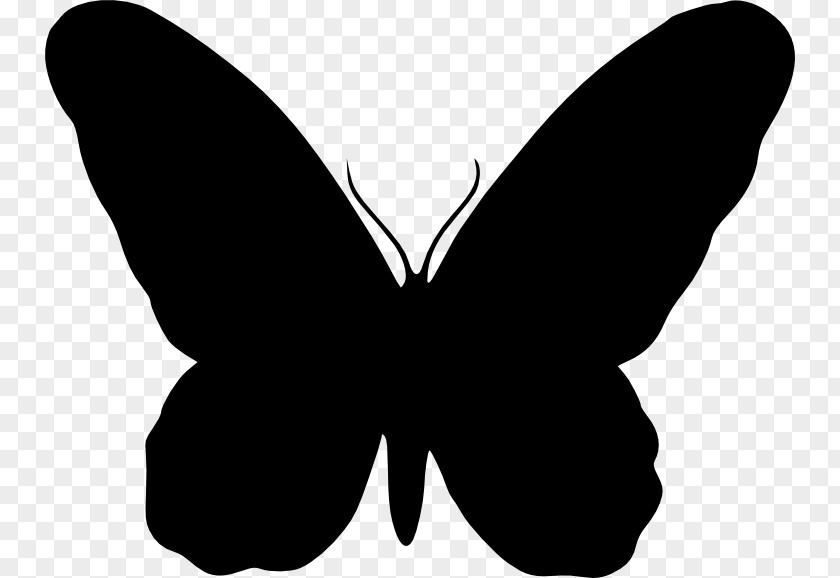 Butterfly Silohette Vector Graphics Clip Art Silhouette Cdr PNG