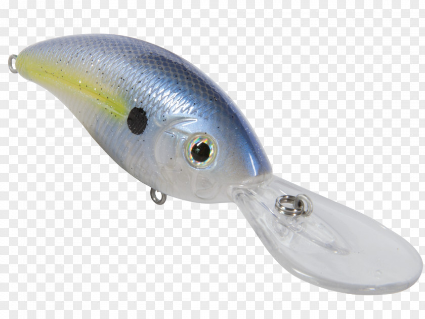 Fishing Baits & Lures PNG