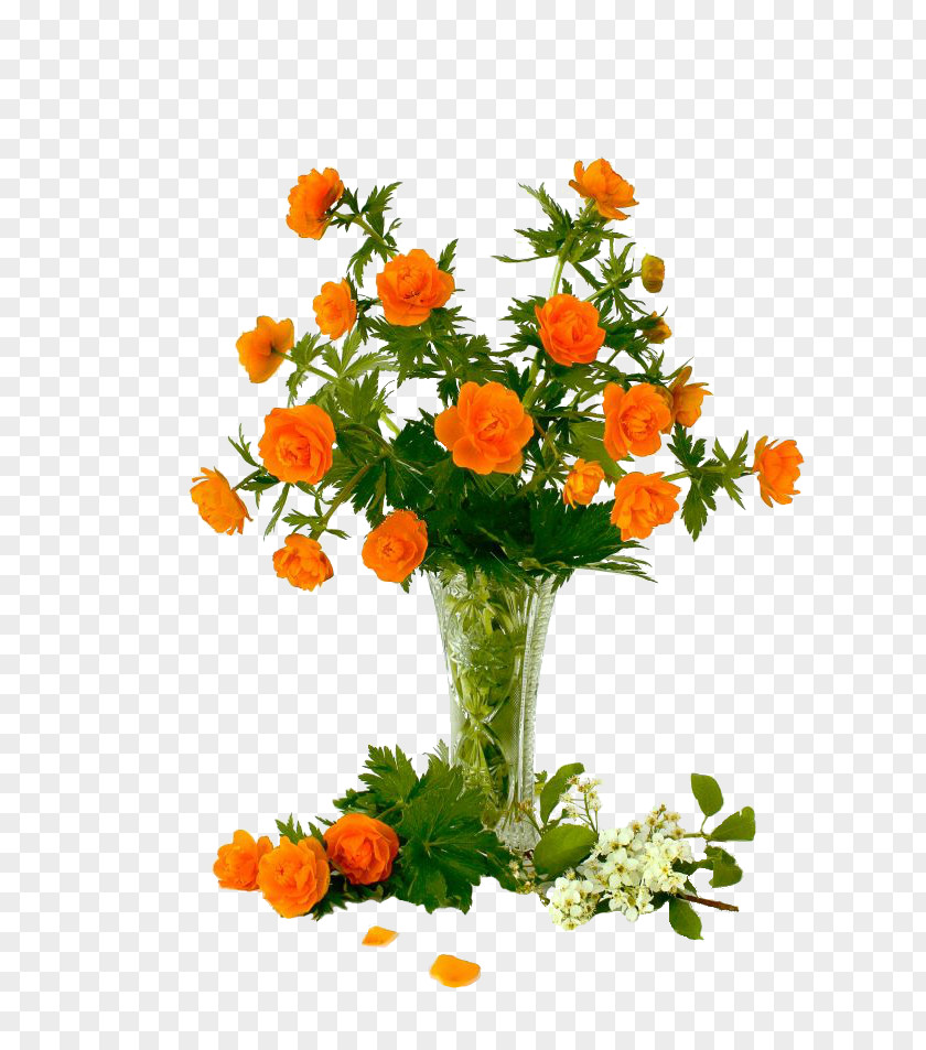 Flower Floral Design Cut Flowers Bouquet English Marigold PNG
