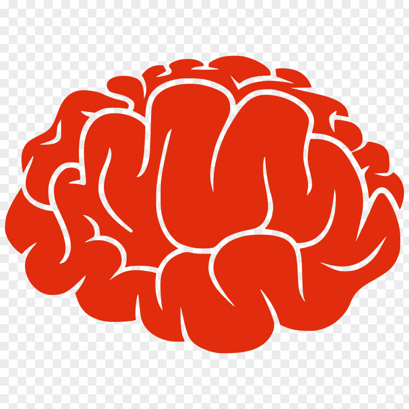 Forgetful Brain Cliparts Free Content Clip Art PNG