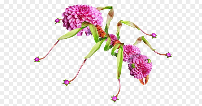 Hand-woven Flowers Ants Floral Design Ant Flower Photography PNG