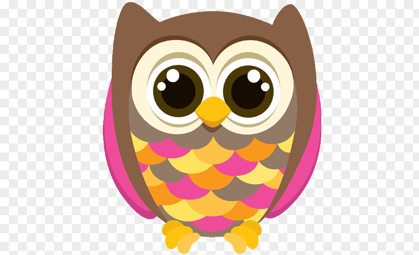 Your Invited Owl Bird Beak Clip Art PNG
