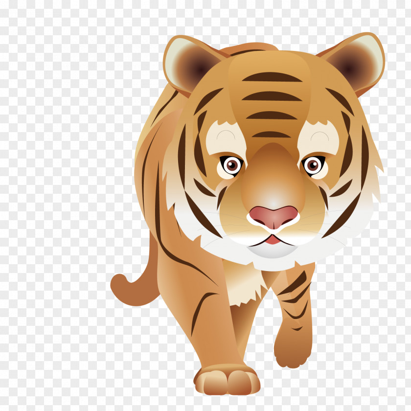 Cute Tiger T-shirt Bengal Animal Clothing English PNG
